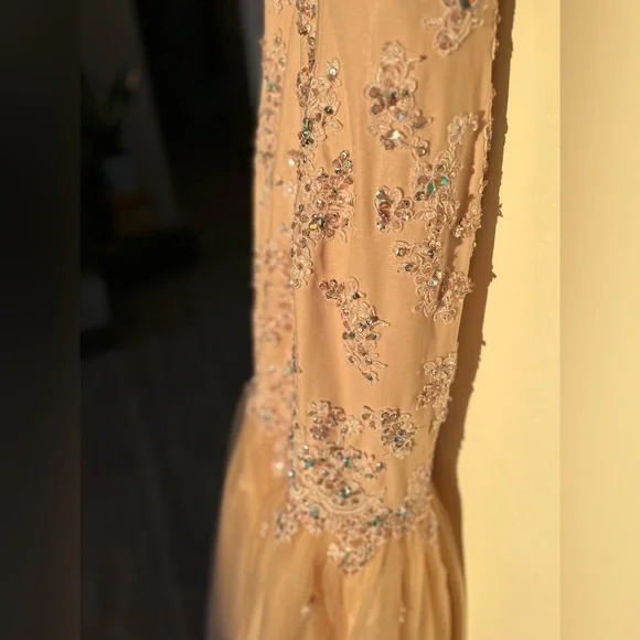 Beautiful Gown - Picture 4 of 4